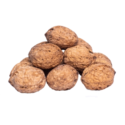 Raw walnut with shell Grade A